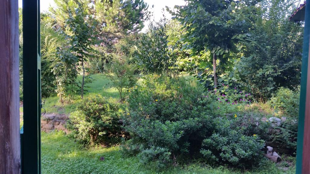Hotel Villa Maria Luigia Фраскати Номер фото